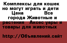 Комплексы для кошек, но могут играть и дети › Цена ­ 11 900 - Все города Животные и растения » Аксесcуары и товары для животных   